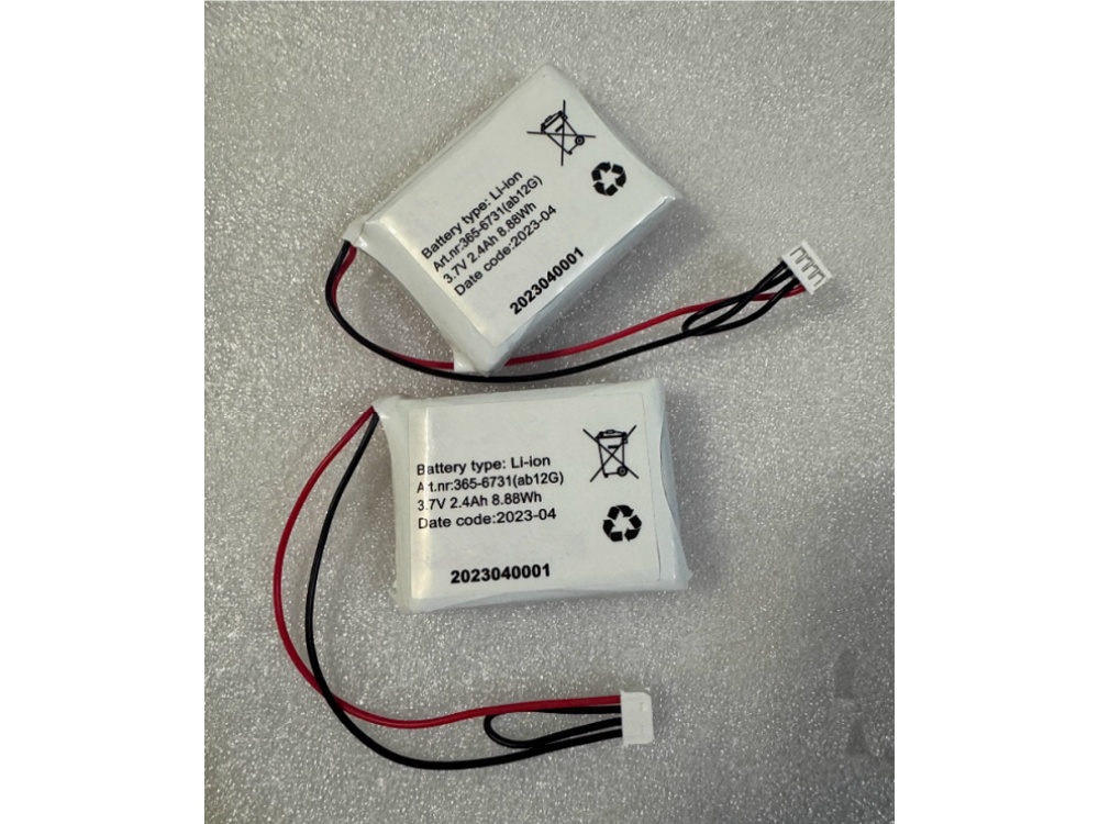BATTERIA 365-6731(AB12G)