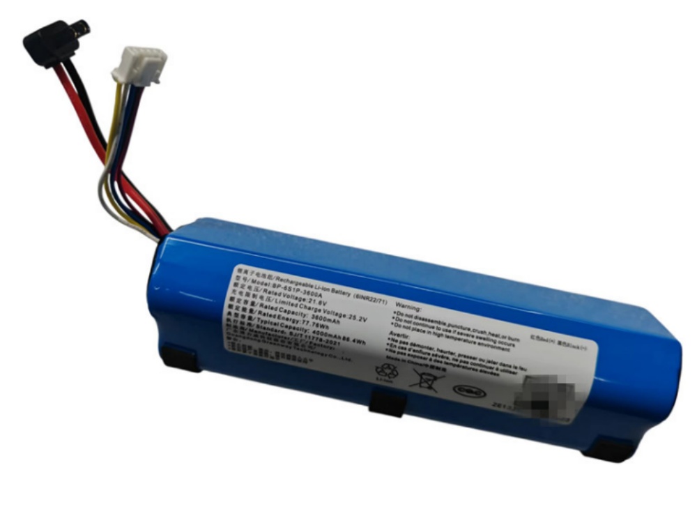  BATTERIA BP6S1P13005D