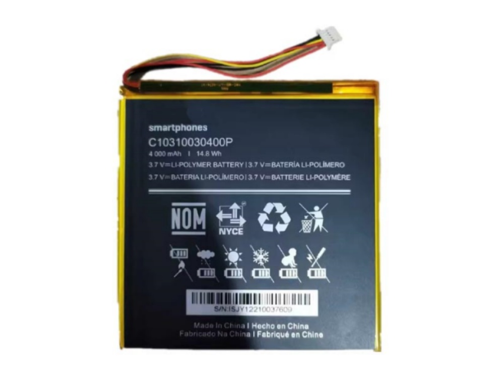 Batteria tablet C10310030400P