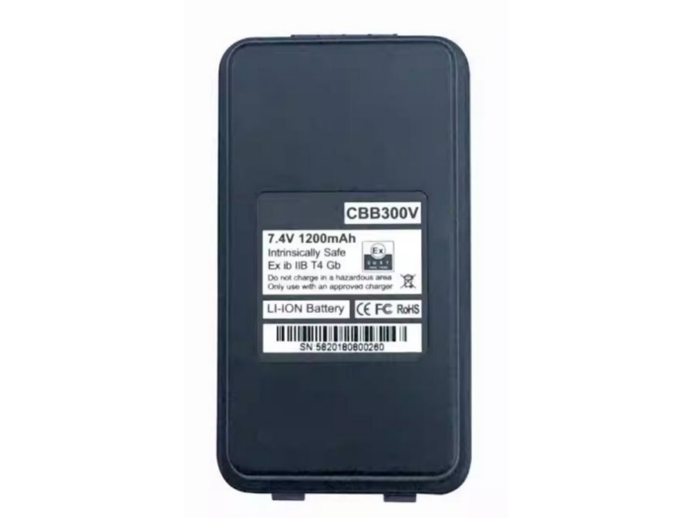  BATTERIA CBB300V