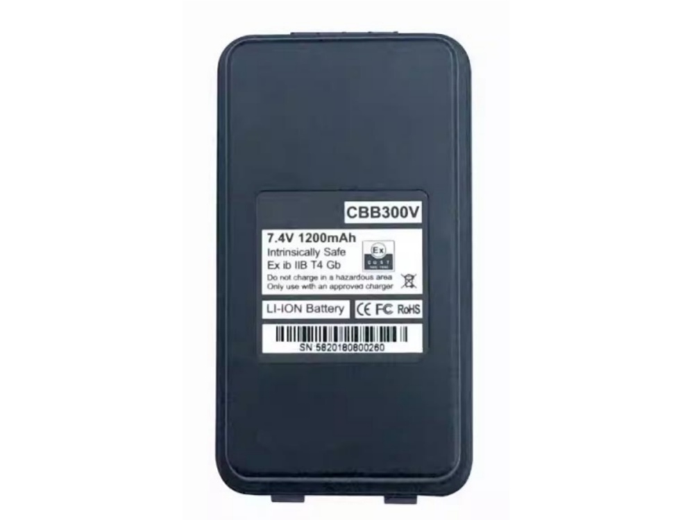  BATTERIA CBB300V
