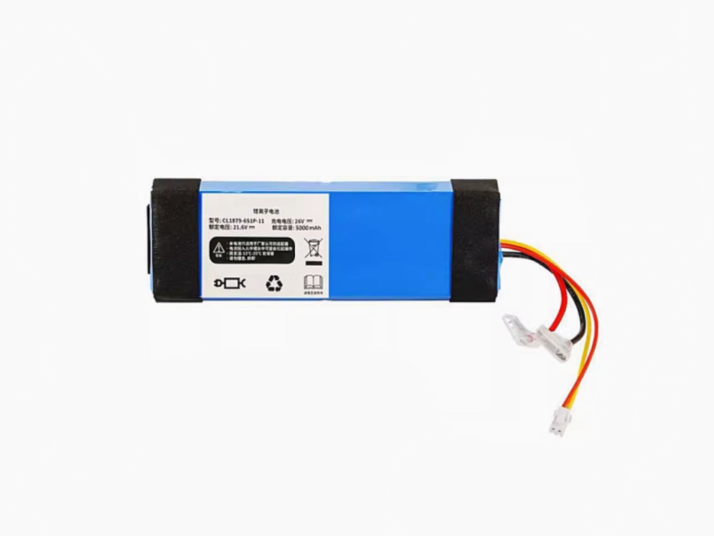  BATTERIA CL1879-6S1P-01