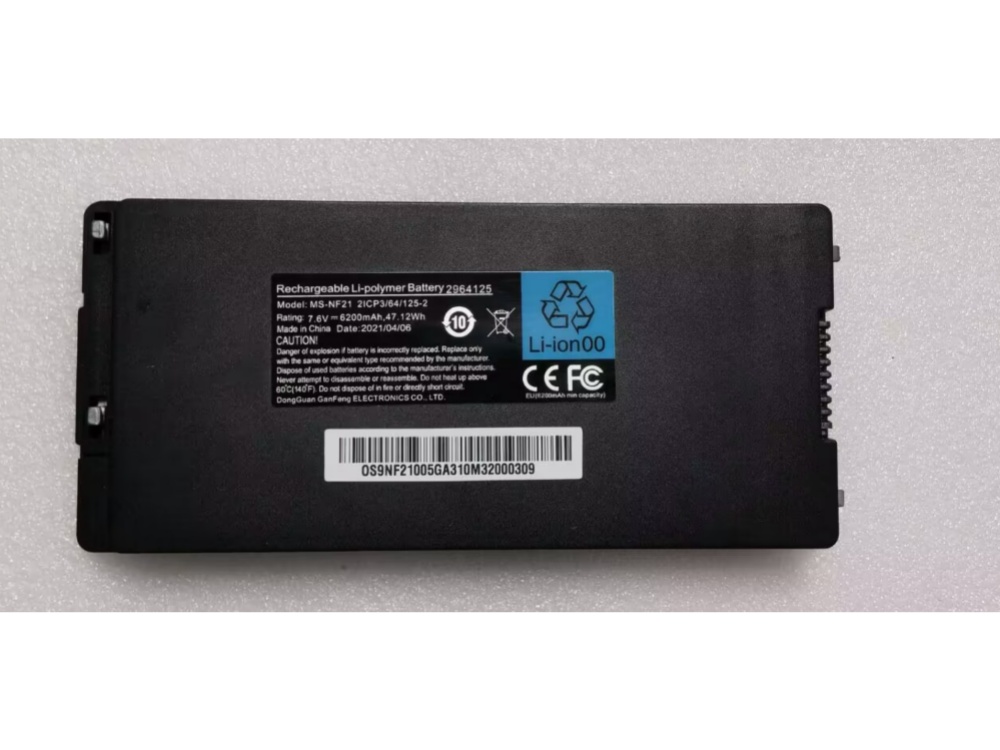 BATTERIA MS-NF21