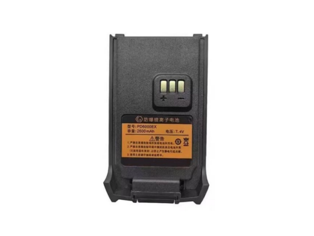  BATTERIA PD6000EX
