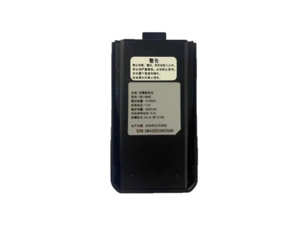 BATTERIA RB-589E