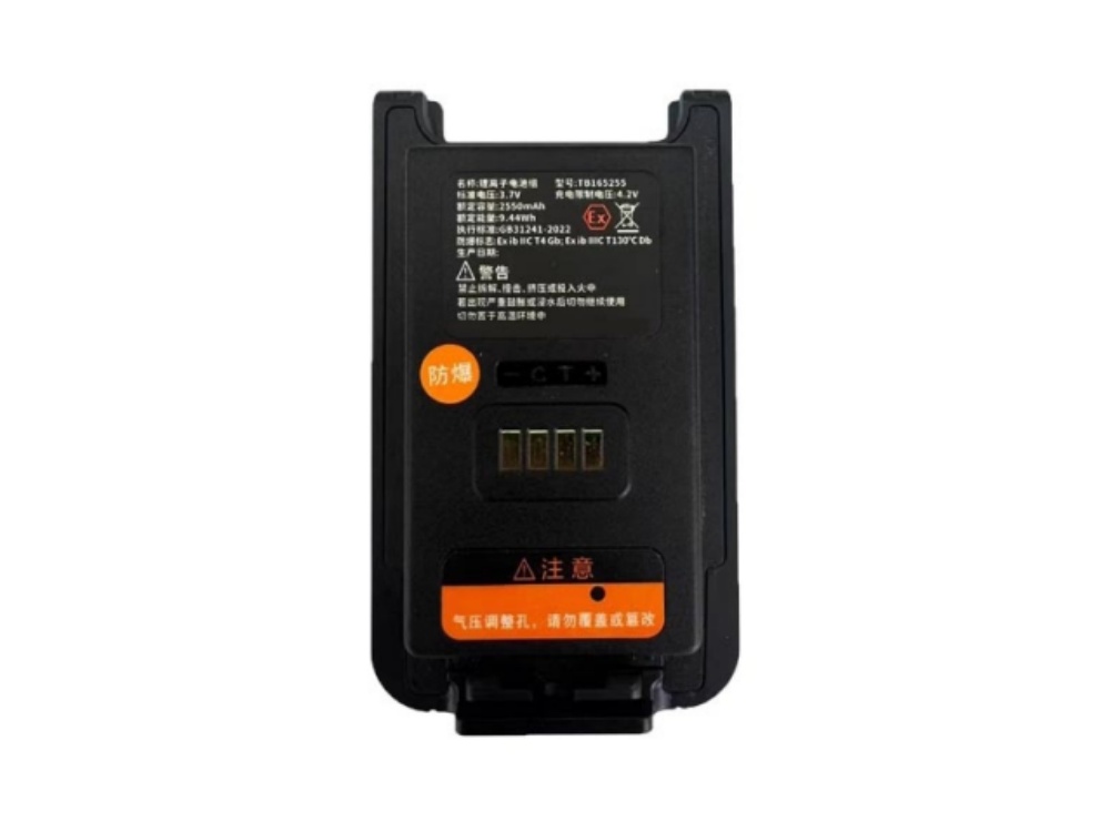 BATTERIA TB165255